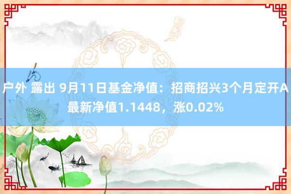 户外 露出 9月11日基金净值：招商招兴3个月定开A最新净值1.1448，涨0.02%