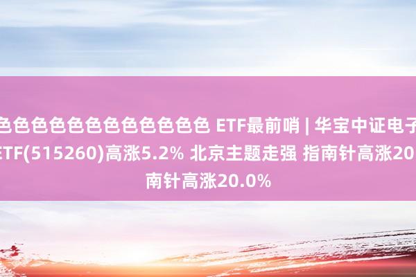 色色色色色色色色色色色色 ETF最前哨 | 华宝中证电子50ETF(515260)高涨5.2% 北京主题走强 指南针高涨20.0%