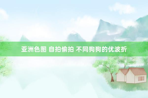 亚洲色图 自拍偷拍 不同狗狗的优波折