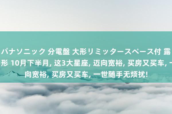 パナソニック 分電盤 大形リミッタースペース付 露出・半埋込両用形 10月下半月， 这3大星座， 迈向宽裕， 买房又买车， 一世随手无烦扰!