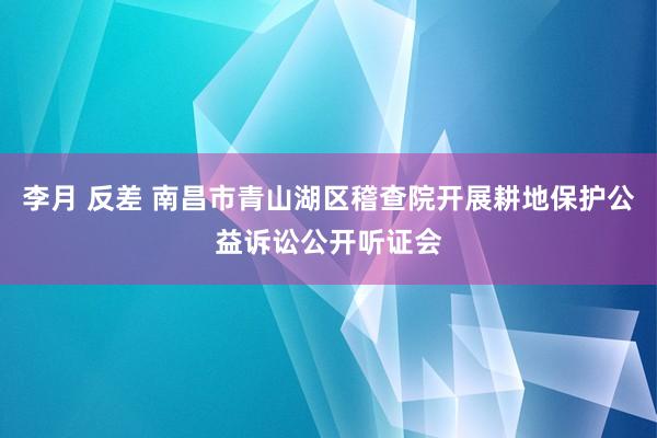 李月 反差 南昌市青山湖区稽查院开展耕地保护公益诉讼公开听证会