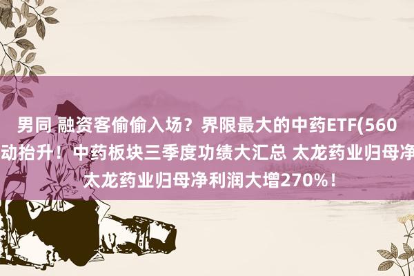 男同 融资客偷偷入场？界限最大的中药ETF(560080)融资余额轰动抬升！中药板块三季度功绩大汇总 太龙药业归母净利润大增270%！