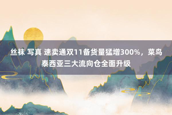 丝袜 写真 速卖通双11备货量猛增300%，菜鸟泰西亚三大流向仓全面升级