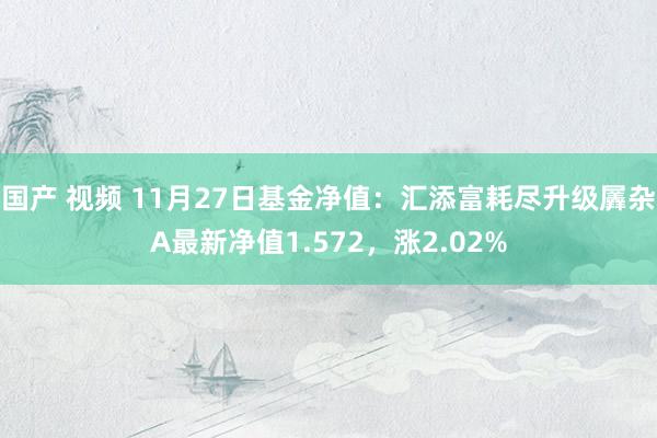 国产 视频 11月27日基金净值：汇添富耗尽升级羼杂A最新净值1.572，涨2.02%