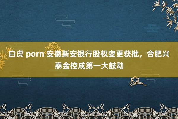 白虎 porn 安徽新安银行股权变更获批，合肥兴泰金控成第一大鼓动