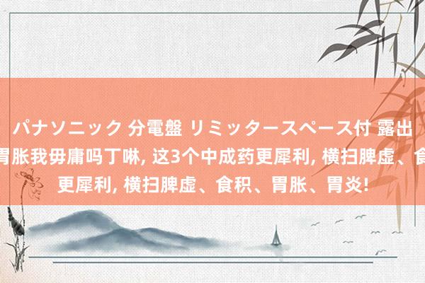 パナソニック 分電盤 リミッタースペース付 露出・半埋込両用形 胃胀我毋庸吗丁啉， 这3个中成药更犀利， 横扫脾虚、食积、胃胀、胃炎!