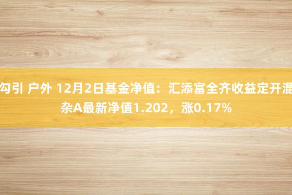 勾引 户外 12月2日基金净值：汇添富全齐收益定开混杂A最新净值1.202，涨0.17%