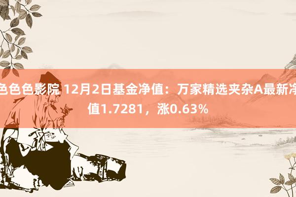 色色色影院 12月2日基金净值：万家精选夹杂A最新净值1.7281，涨0.63%