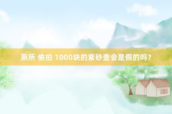 厕所 偷拍 1000块的紫砂壶会是假的吗？