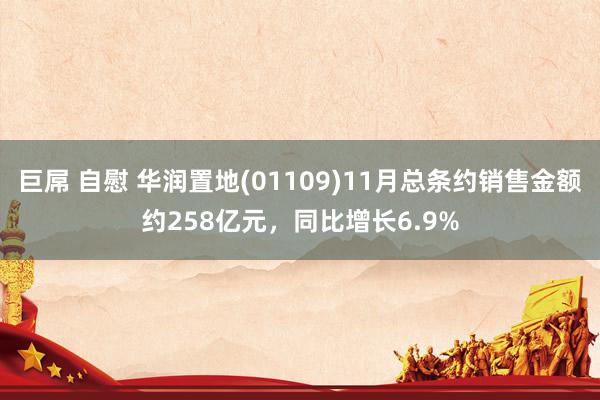 巨屌 自慰 华润置地(01109)11月总条约销售金额约258亿元，同比增长6.9%