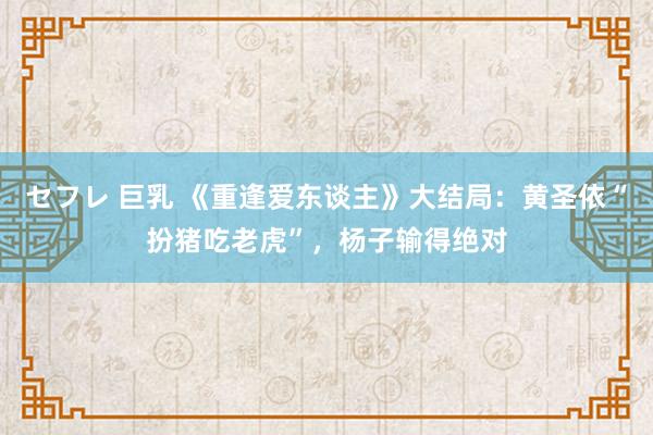 セフレ 巨乳 《重逢爱东谈主》大结局：黄圣依“扮猪吃老虎”，杨子输得绝对
