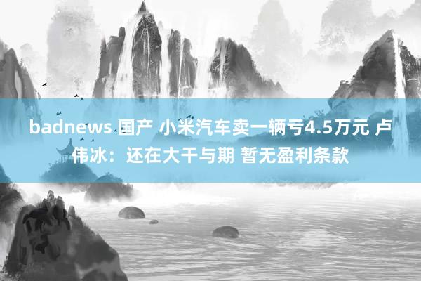 badnews 国产 小米汽车卖一辆亏4.5万元 卢伟冰：还在大干与期 暂无盈利条款