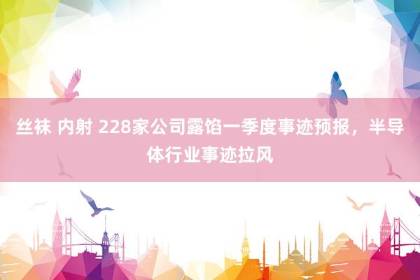 丝袜 内射 228家公司露馅一季度事迹预报，半导体行业事迹拉风