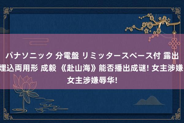 パナソニック 分電盤 リミッタースペース付 露出・半埋込両用形 成毅 《赴山海》能否播出成谜! 女主涉嫌辱华!