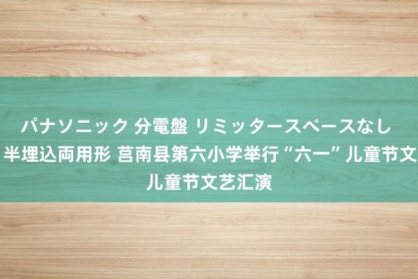 パナソニック 分電盤 リミッタースペースなし 露出・半埋込両用形 莒南县第六小学举行“六一”儿童节文艺汇演